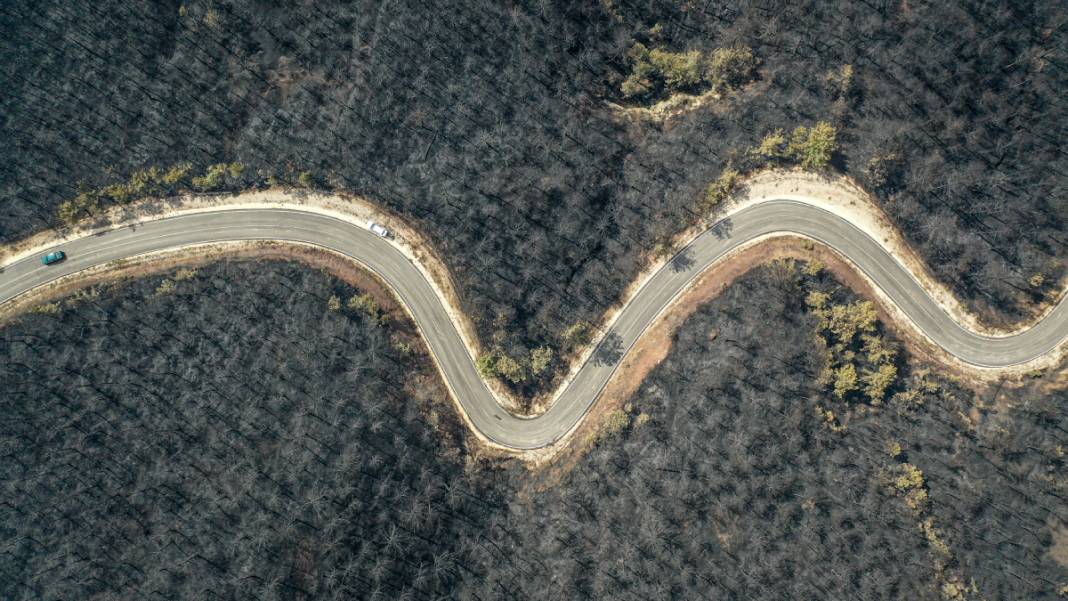 Sakarya'da başlayan yangın kontrolden çıktı: Bilecik'in ormanları siyaha büründü 2